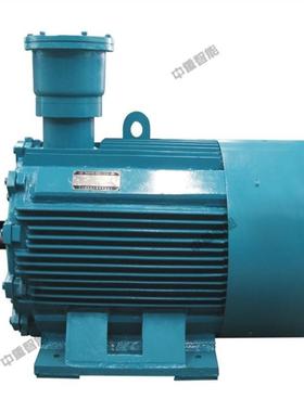 送货上门TBVF- 1000/60YC(1140)矿用隔爆型永磁同步变频电动机