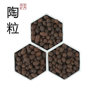 轻质透气粘土园林铺面垫底陶粒 陶粒厂家 卫生间回填建筑填充陶粒