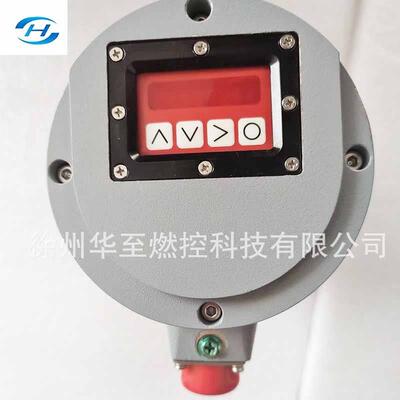 F火401113FORNEY系高灵敏检探头一体化ORNE列Y95系列智能火焰检测