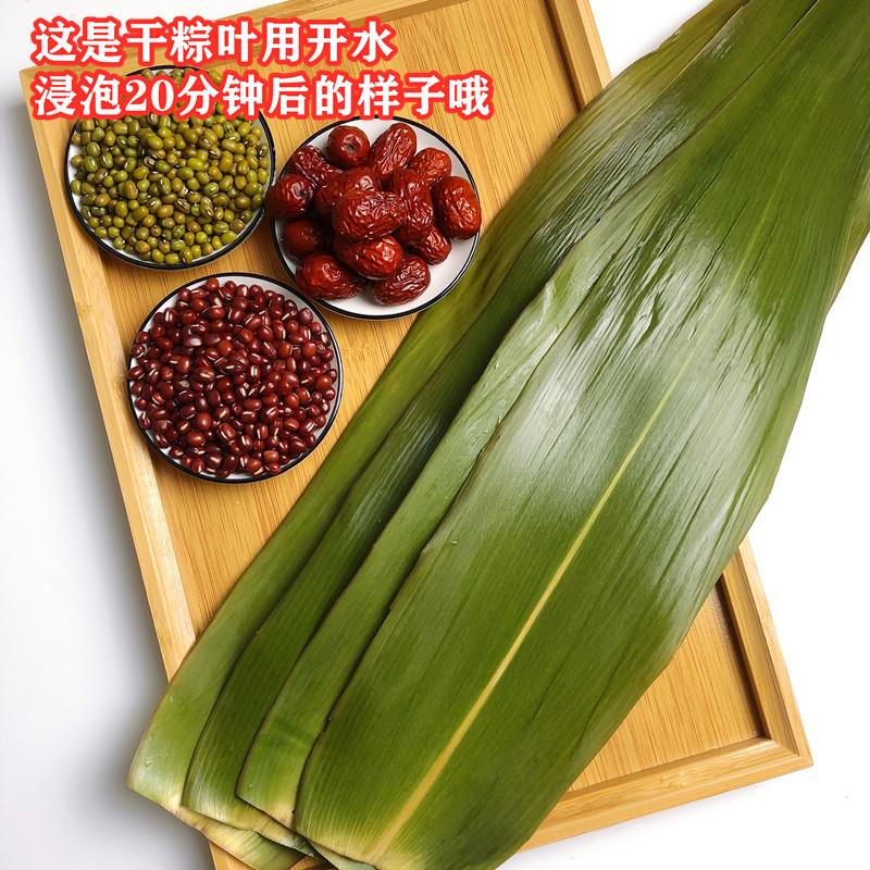 新货ll干粽叶大号野生芒叶