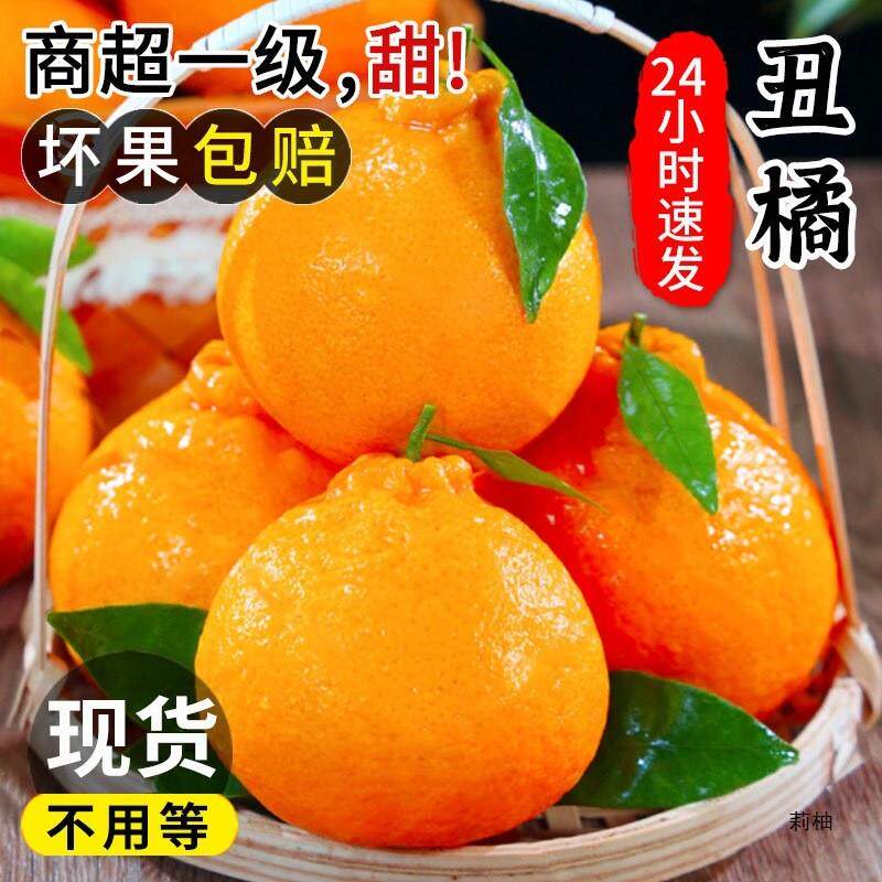 新货丑橘新鲜9斤应当季大