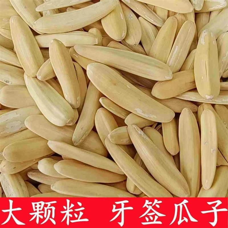 新货牙签瓜子盐焗500g袋装