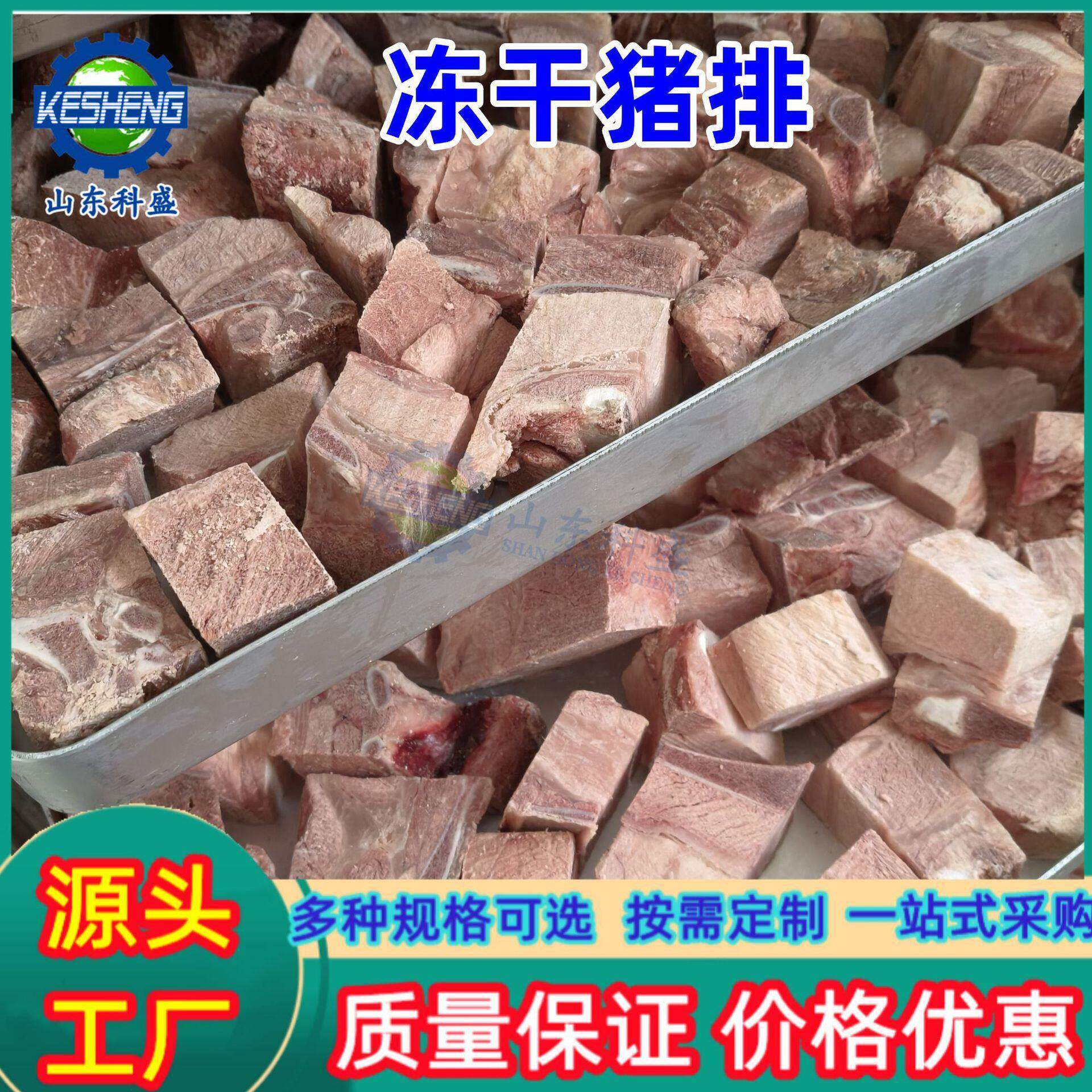 风干猪排牛肉真空冻干机 宠物食品真空冷冻干燥机 枸杞冻干机