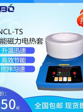厂价直销智能数显磁力搅拌电热套ZNCL-TS50-250ml等多尺寸可选
