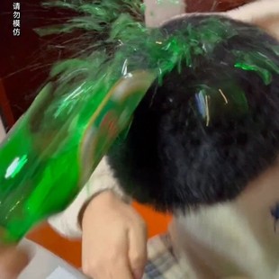 道具啤酒瓶道具酒瓶砸头假啤酒瓶子道具仿真定制影视道具拍电影