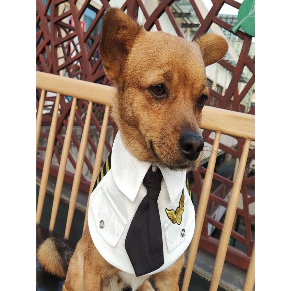 定制宠物围巾机长空少制服大型犬三角巾泰迪口水巾柴犬领结围脖