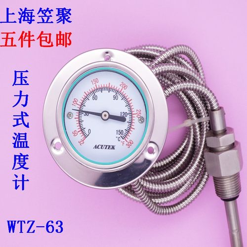 轴向带边 不锈钢压力式温度计WTZ-63 150℃ 3米 1/2 探头10*100mm