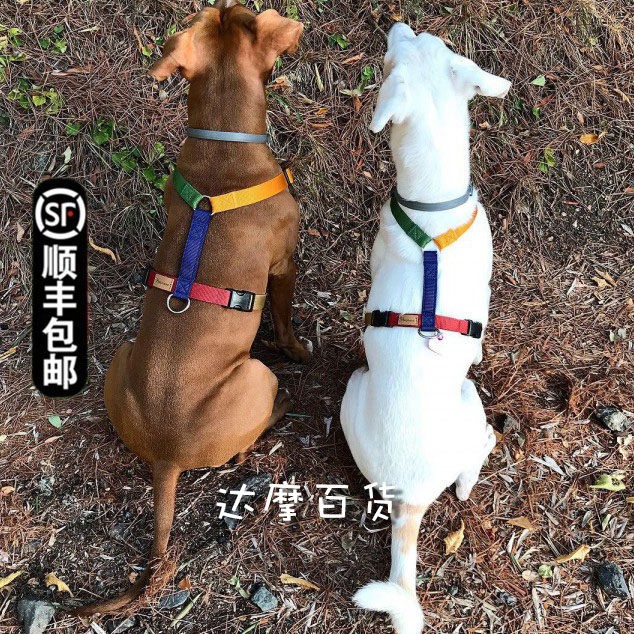 达摩百货 意大利haqihana训犬师推荐五彩绝版限量工字型胸背牵引图片