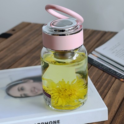 杯子高级感轻奢高颜值女士2025新款玻璃杯单层便携泡茶水杯带提环