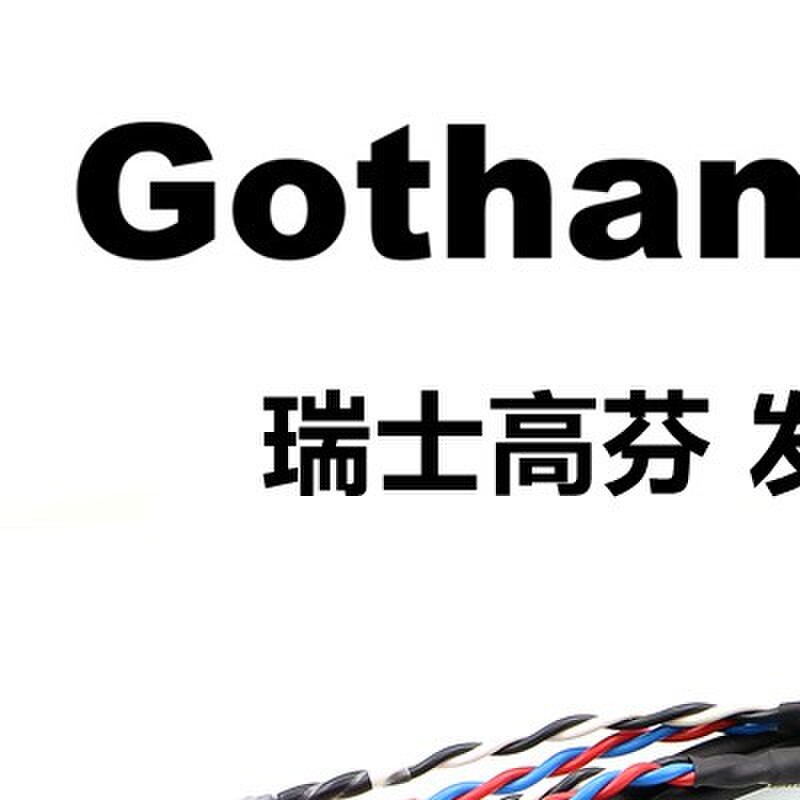 进口瑞士高芬Gotham发烧级音响线HIFI功放CD连接音箱线前置喇叭线