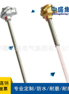 安徽天长市中盛热电偶WRN2-130 刚玉管 L=900*750