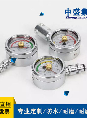 YE-60B YE-100B膜盒压力表 耐震压力表 隔膜压力表 远传压力表