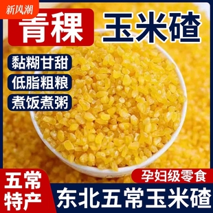 东北五常青稞糯玉米碴当季 新玉米现磨东北玉米碴子黏粘玉米大碴子