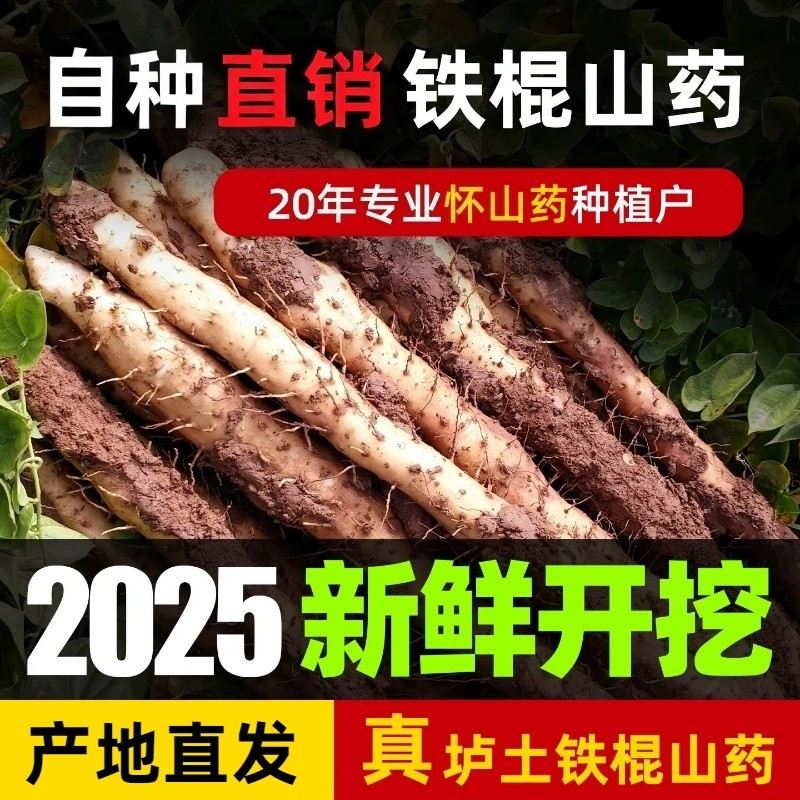 张磊磊正宗河南焦作垆土铁棍山药正宗怀山药产地直发顺丰发货