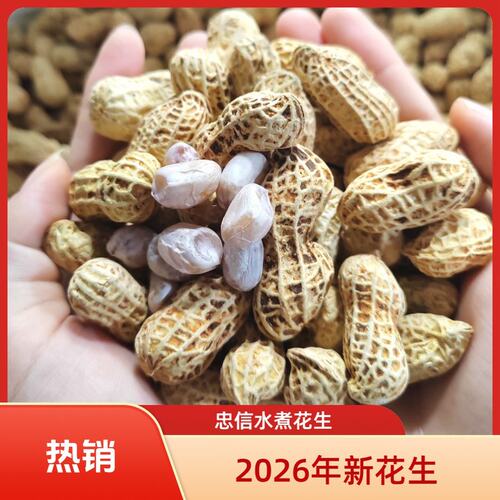 2026年新花生忠信水煮日晒白玉咸干花生软糯咸香不上火500克/袋