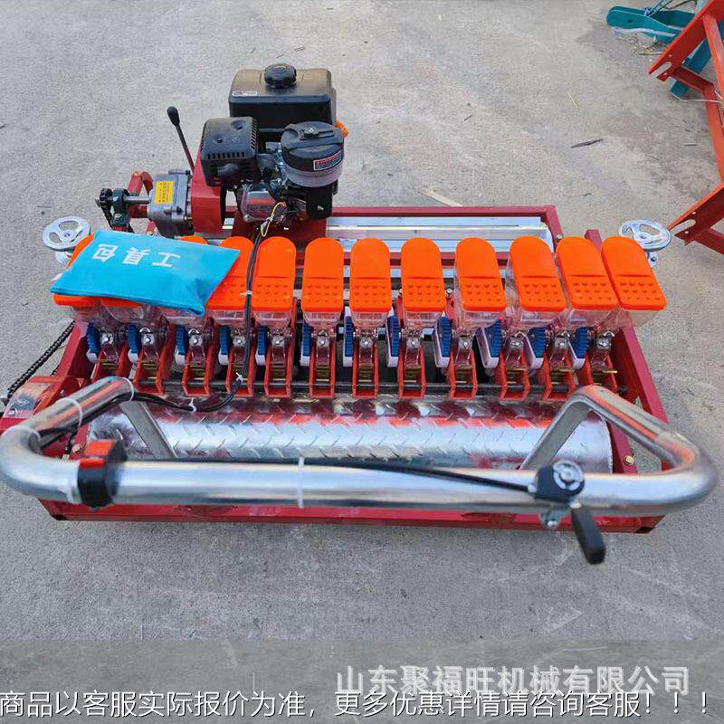 大葱洋葱芩芹菜草播种机 柴胡白术黄子条播机 FNI花卉坪种精播机