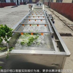 木瓜鼓浪清洗机 姜片鼓泡清洗机器 酸菜气泡清洗设备