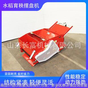 育苗秧盘播种机自动电动汽油抛秧稻谷大棚覆土一体水稻育秧摆盘机