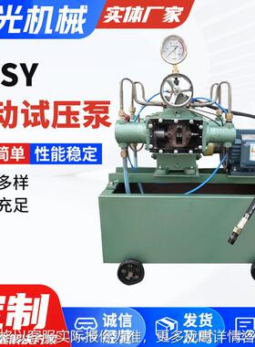 电动试压泵生产厂家电动打压泵 测试水管打压机压力自控4DSY/4DSB
