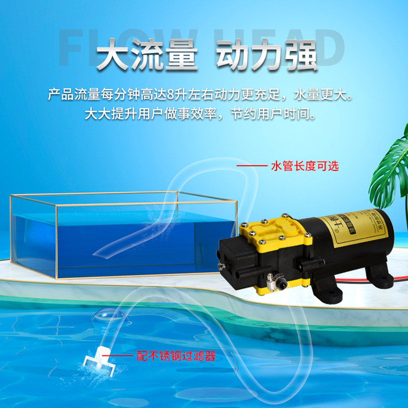 微型高压隔膜泵自吸水泵直流泵12V24v喷雾增压泵小型大流量抽水机
