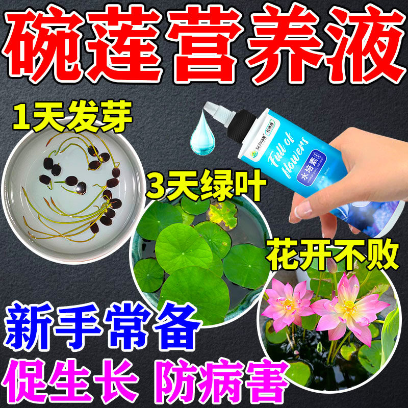 碗莲睡莲水培植物营养液荷花促发芽开花防黄叶烂根生根水剂复活液