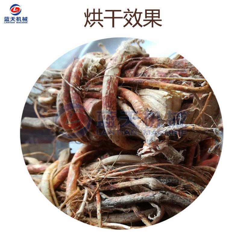 云南五指毛桃烘干自动机五指牛奶土黄芪烘干箱五爪LT-WZMTH烘全干