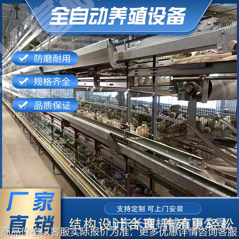 蛋鸡笼层叠式养鸡设备 立式全自动四层清粪鸽子笼 鹌鹑养殖育雏笼