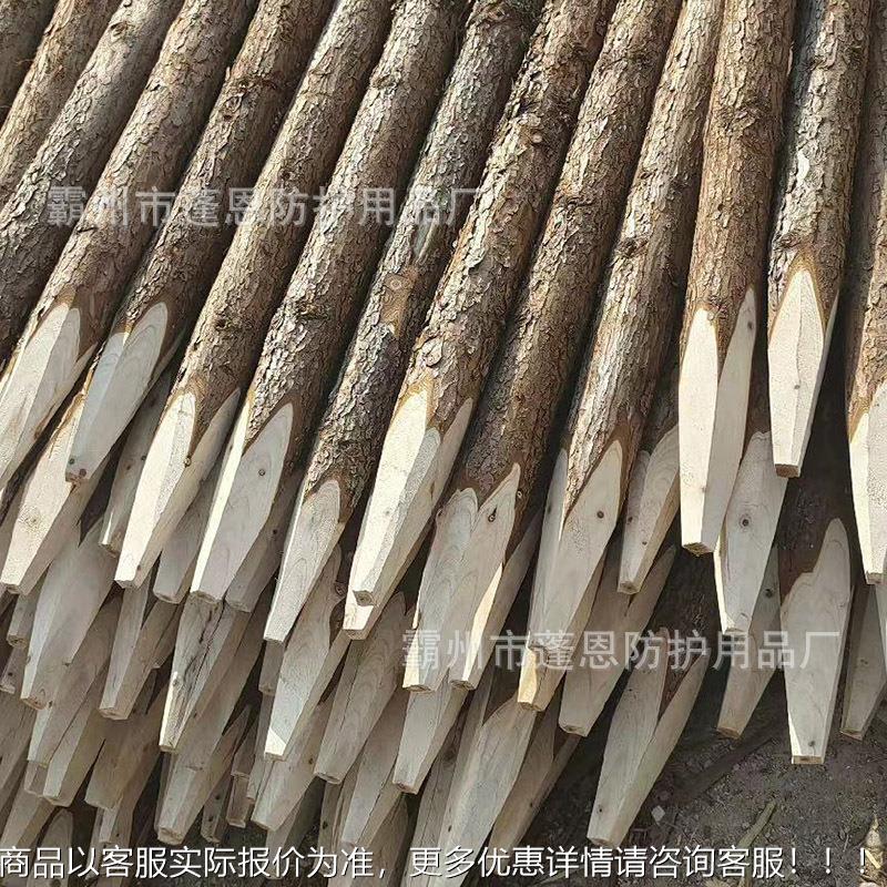 防汛木桩建桩筑GVC道坡防洪杉河木工程围堰打木坡绿化支撑杆松原图片