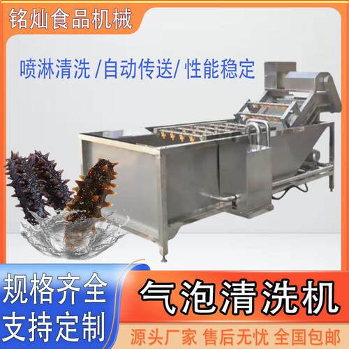 生蚝大型不锈钢高压清洗设备蔬菜清洗风干线全自动气泡清洗机