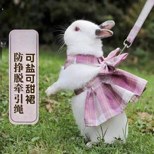 兔子衣服牵引绳夏天溜小兔子穿的防挣脱可爱侏儒兔专用宠物户外