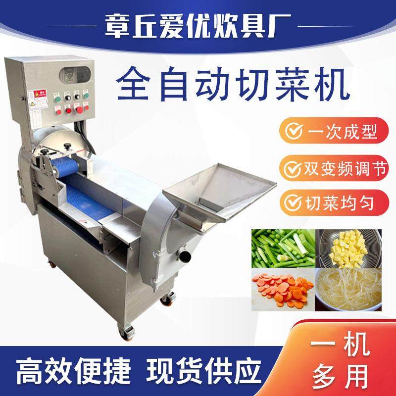 801型多功能双头切菜机蔬菜切丝切片切丁切段机商用切菜机,机械设备,消毒灭菌设备,淘宝优惠券,粉丝福利购,淘宝优惠卷