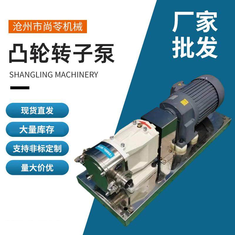 厂家直供食品级不锈钢卧式大流量高扬程齿轮泵304钢凸轮转子泵,五金/工具,其它泵类型,淘宝优惠券,粉丝福利购,淘宝优惠卷