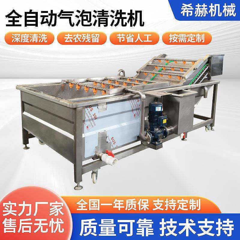 全自动果蔬气泡清洗机橘子大枣蓝莓枸杞果蔬肉制品清洗风干流水线