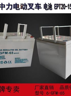 小金刚1.5吨液压叉车电池EPT20-15ET2免维护铅酸电池