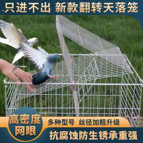 自动翻转天落笼鸽子笼可折叠可携式笼户外祇进不出防跑连续收鸽笼