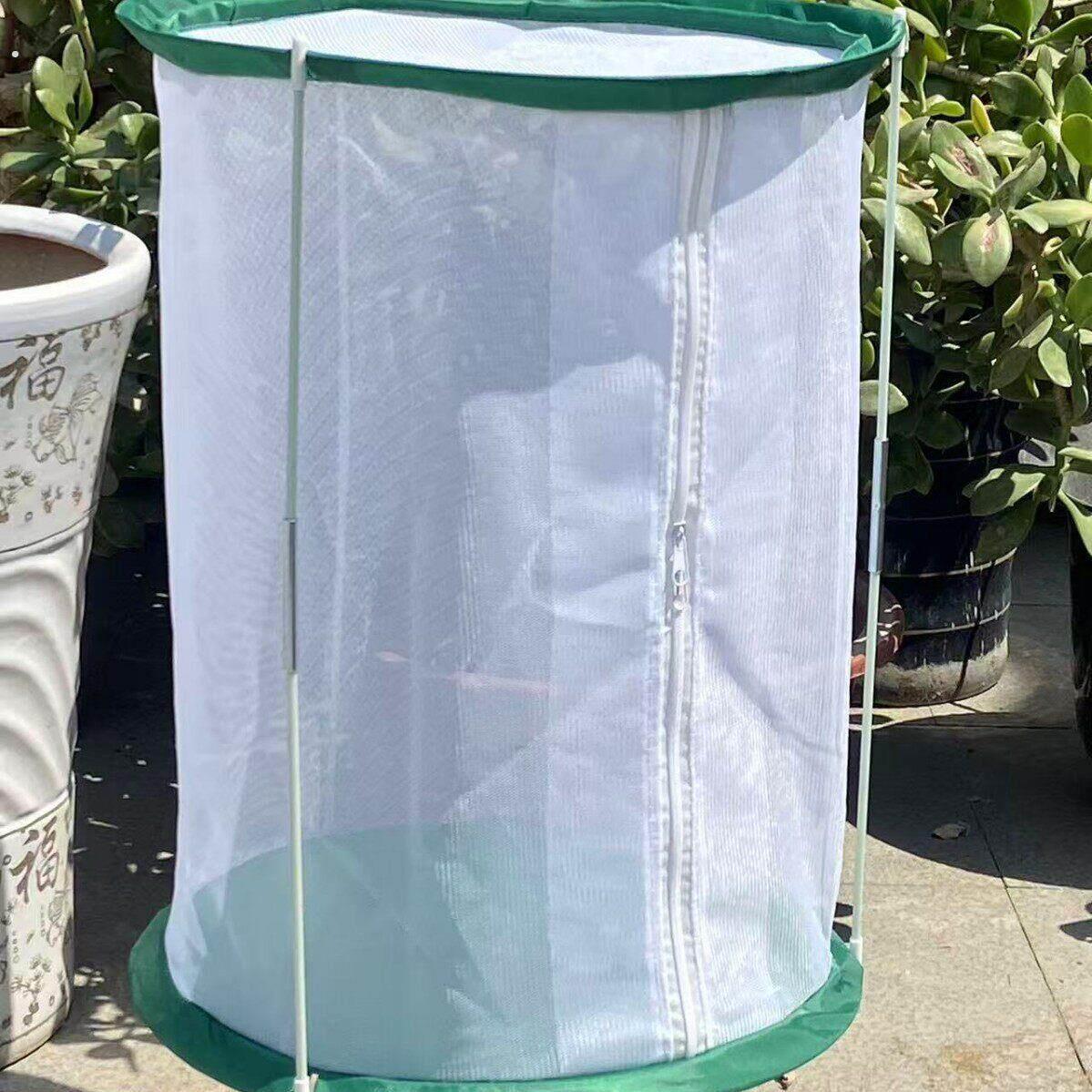 自产自研圆柱支架圆桶蝴蝶饲养笼 昆虫观察笼 透明网笼 观赏笼