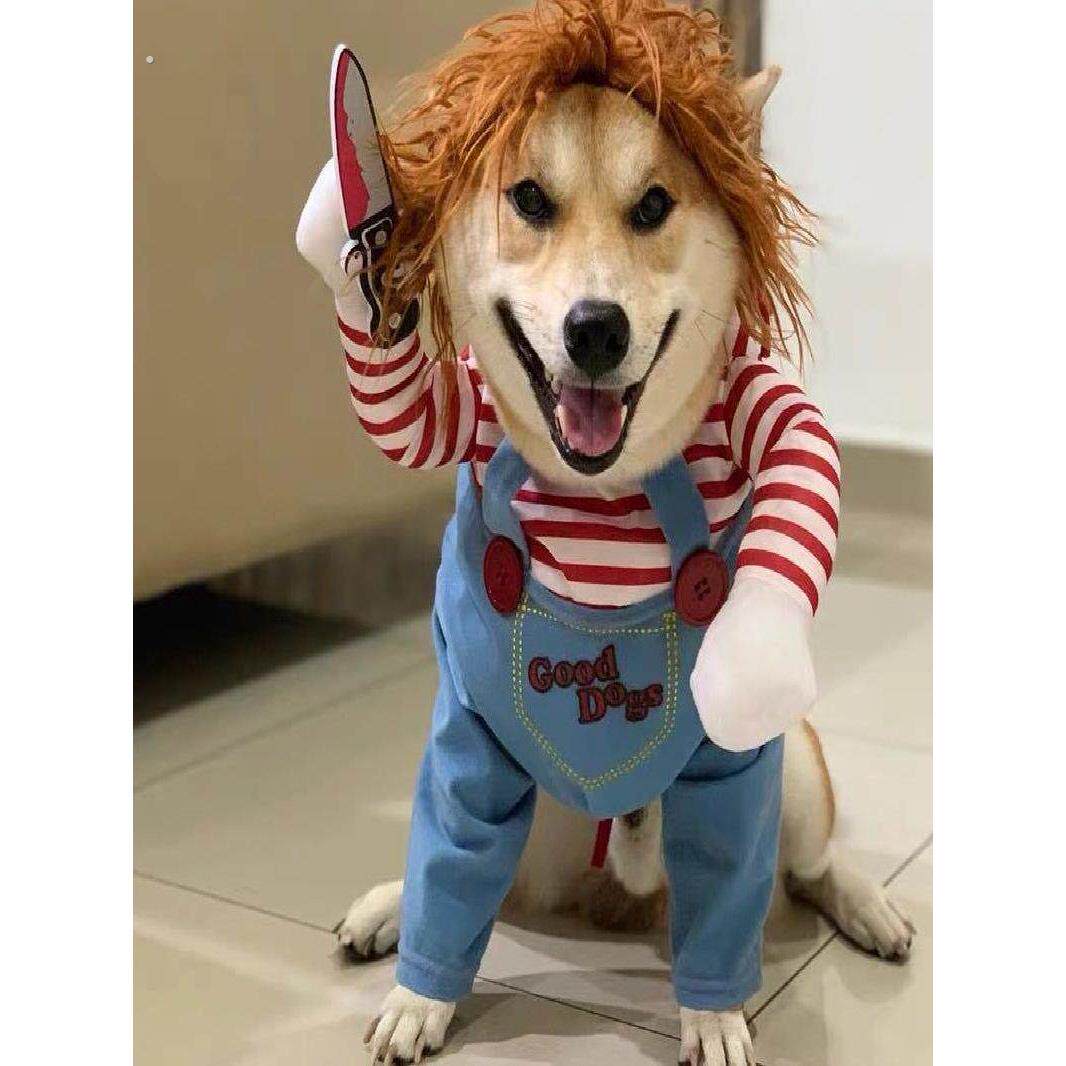 狗狗衣服万圣节狗狗猫咪变身装小中型犬泰迪柯基可爱搞怪宠物衣服