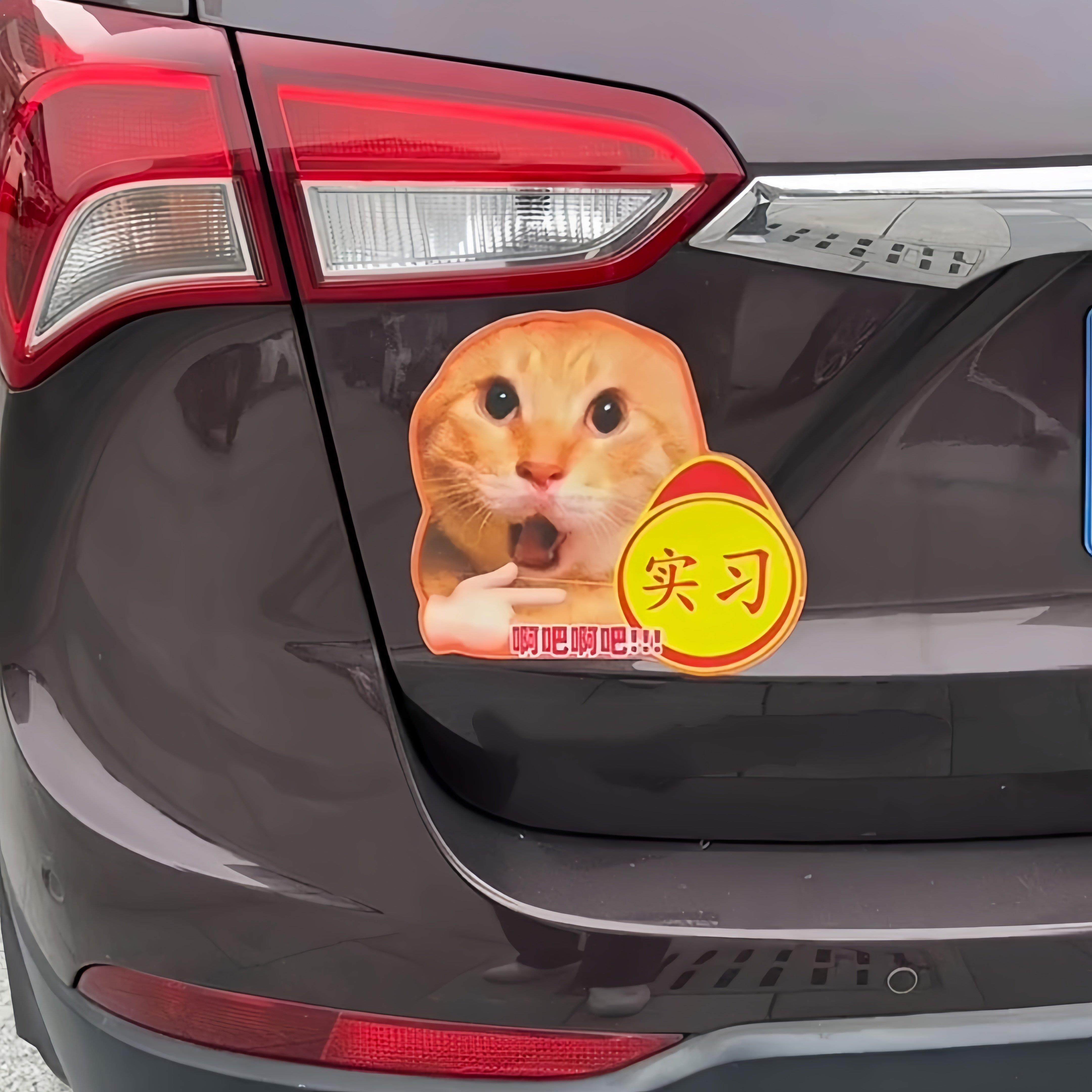 发癫哈基米反光防水车贴搞笑实习车尾反光贴猫咪抽象文字磁吸自粘
