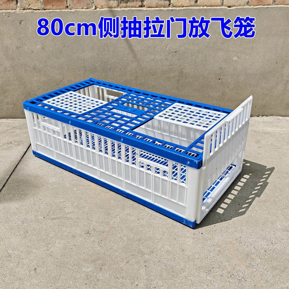 赛鸽鸽子训放笼集鸽笼塑料笼不可折叠笼易清洗鸽笼侧门抽拉放飞笼