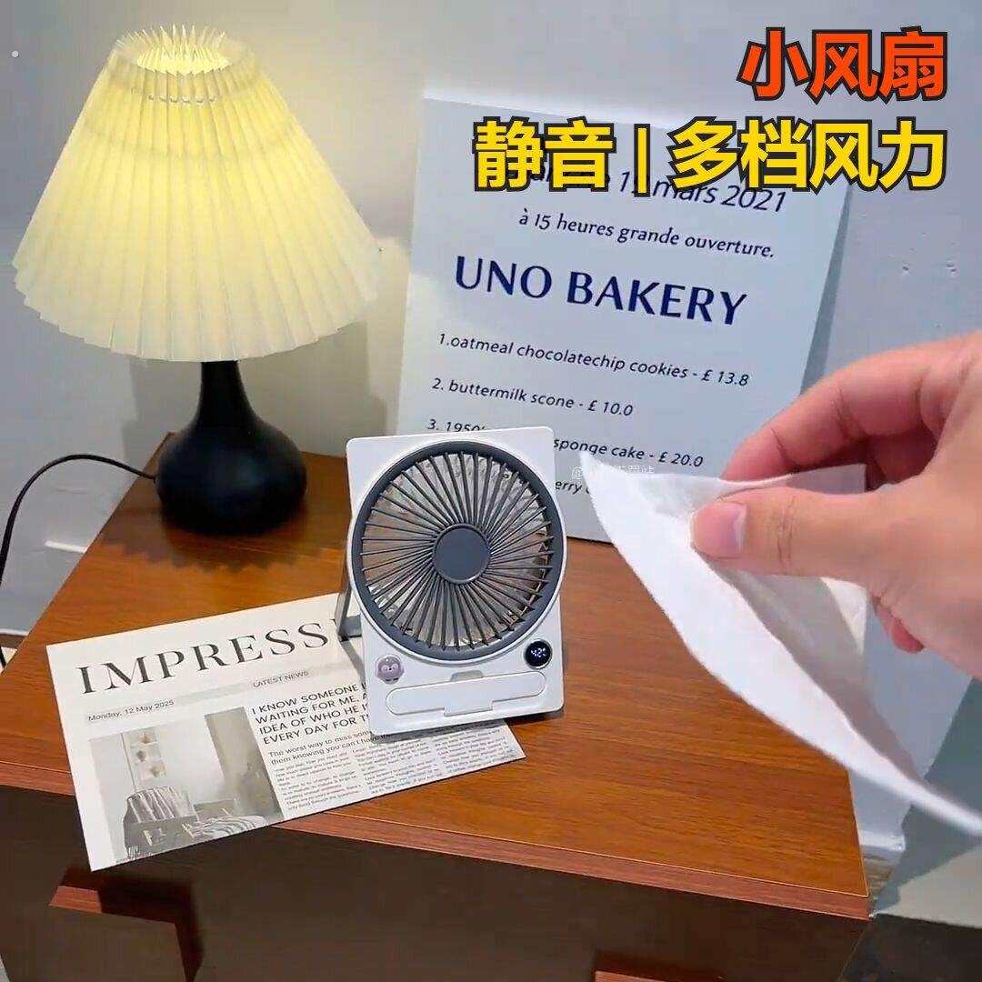 超值公电风扇爆款推荐立式落地便携摇头宿舍充桌面台遥控家用办热