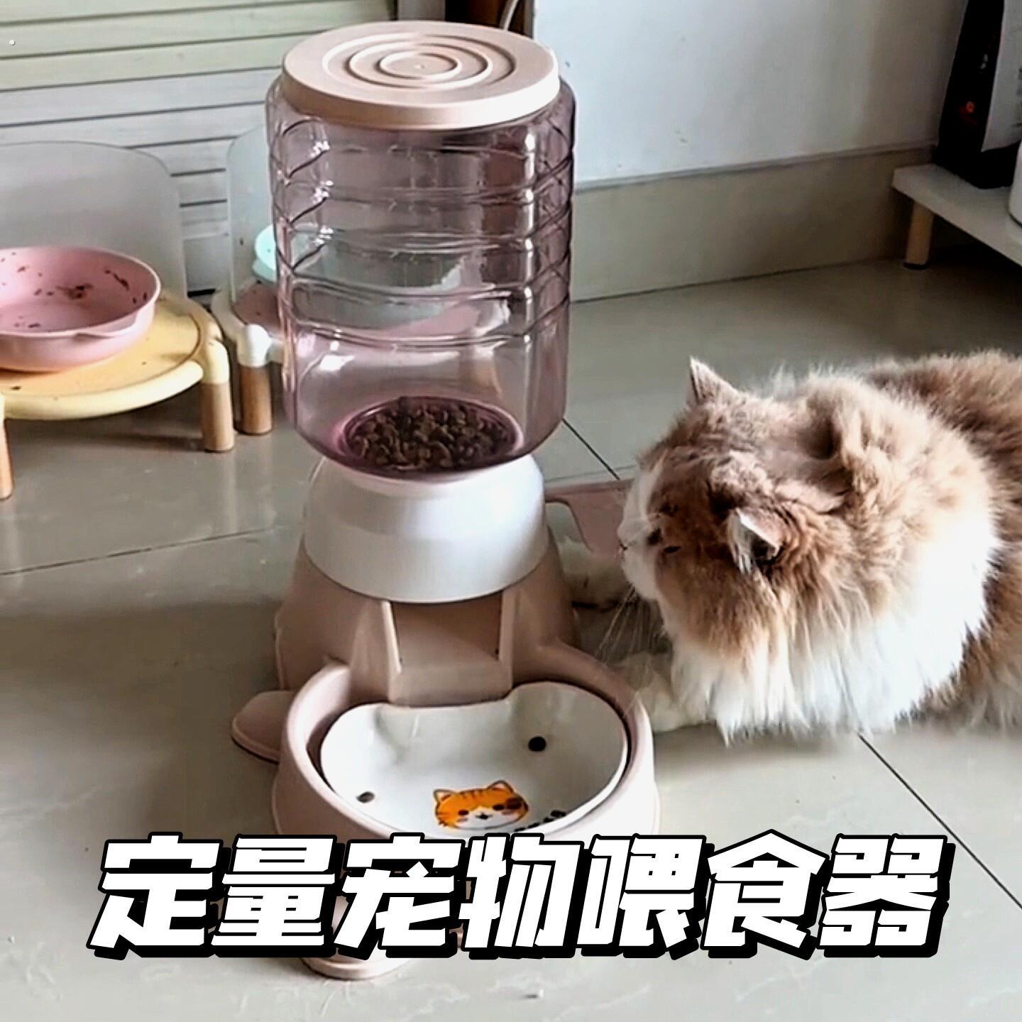 宠物按压式自动喂食器自助大容量宠物用品狗食猫粮家用益智猫碗