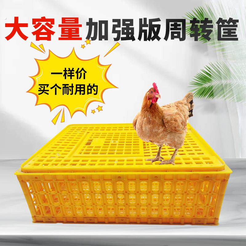 鸡笼运输笼鸡鸭鹅塑料周转箱加厚转运筐家用装鸡特大号笼子养殖笼