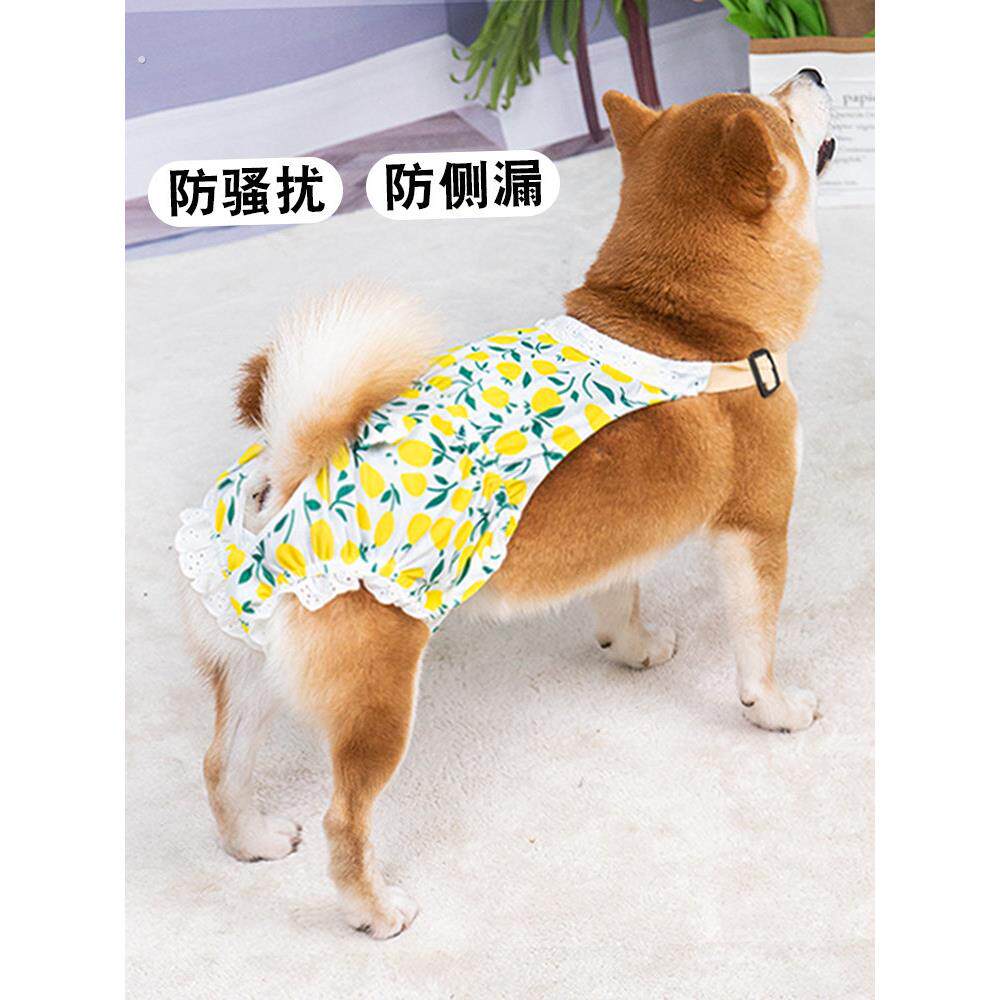 宠物狗狗生理裤母狗专用月经裤安全裤姨妈裤女狗防骚扰防交配神器