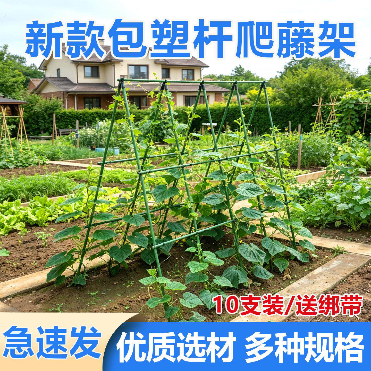 种菜架子爬藤架黄瓜豆角架杆庭院户外蔬菜丝瓜搭棚子支架固定撑杆