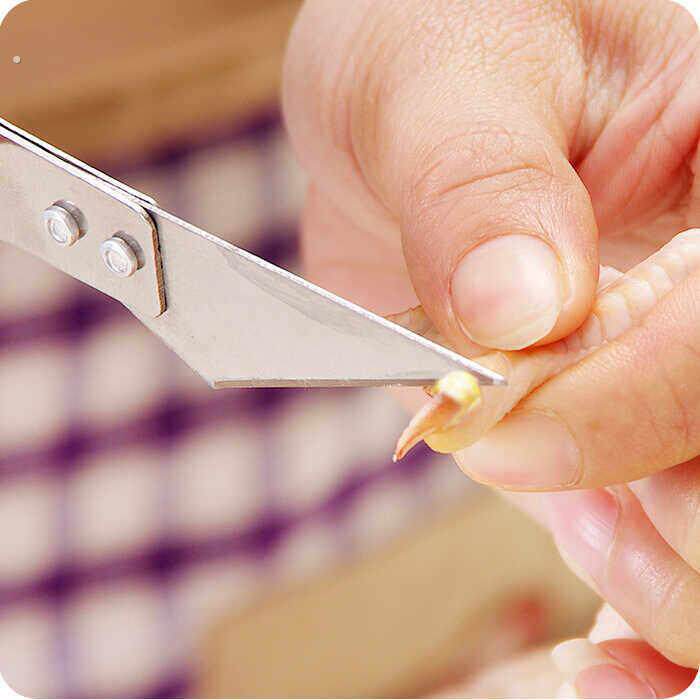 多功能不锈钢拔毛器猪毛夹 厨房用品猪毛钳 鸡毛拔毛夹子拔鸭毛器