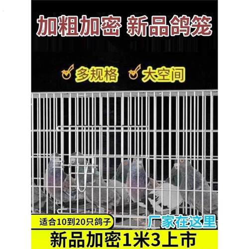 不锈钢鸽子笼养殖笼大室外二层鸟笼大全大空间鸽子笼子特大专用
