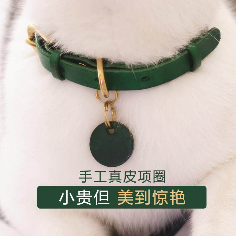 猫咪项圈狗狗项圈可爱猫牌项圈刻字小型犬泰迪柯基宠物猫颈圈饰品