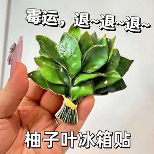 柚子叶冰箱贴去晦气磁贴转运个性 饰可爱趣味高级亚克力 创意磁吸装