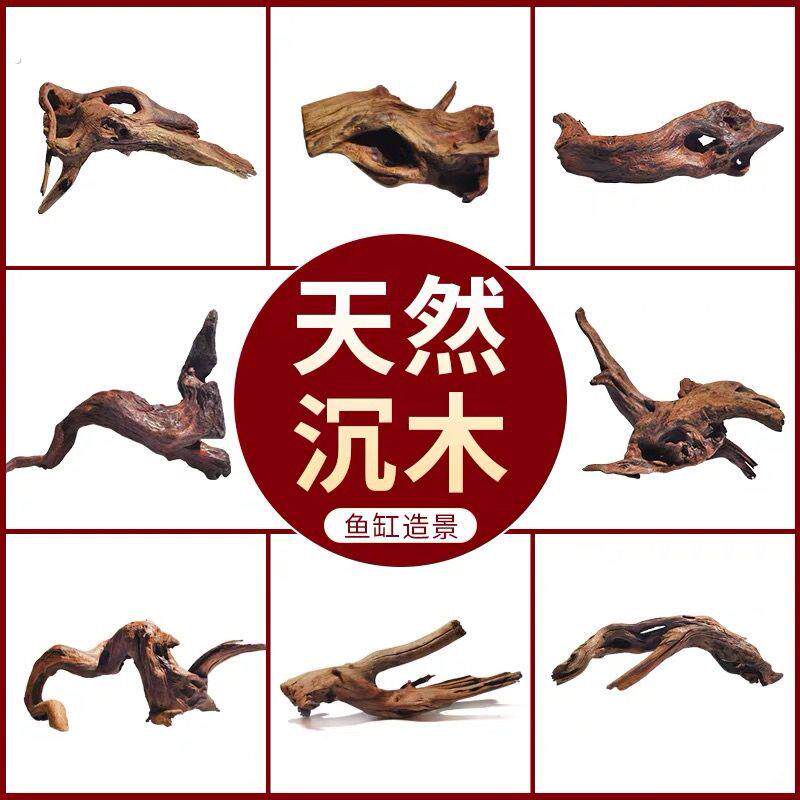 爬宠攀爬木鬃狮蜥晒台捷角守宫蛇躲避饲养箱造景天然枯木树枝沉木