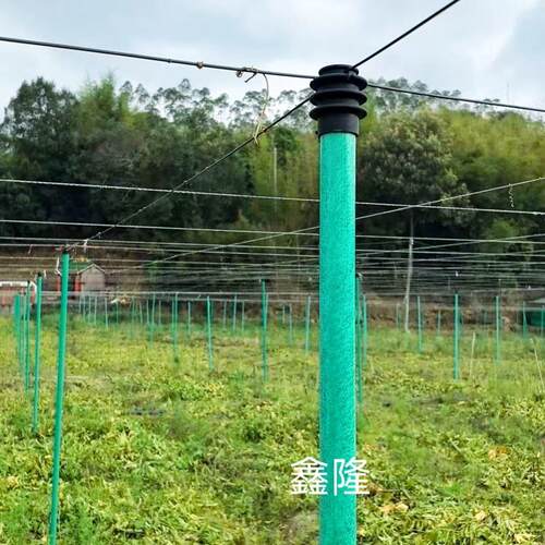 玻璃纤维管遮阳棚支架户外玻璃钢瓜棚立柱 百香果棚专用支架杆